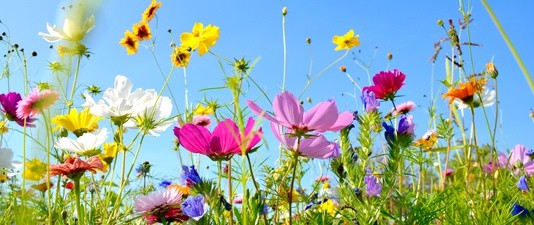 Fotolia_157514845_XS