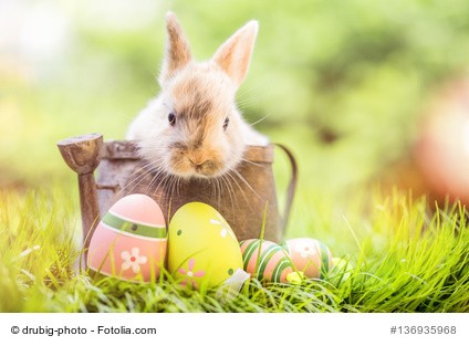 Fotolia_136935968_XS_copyright